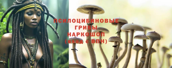 крисы Алексеевка