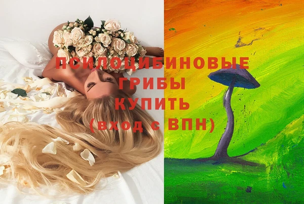 мет Алзамай