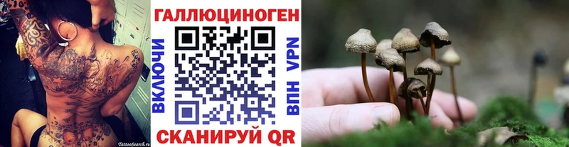 mega как зайти  купить наркотик  Нелидово  Галлюциногенные грибы Psilocybe 