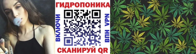 MEGA маркетплейс  Нелидово  МАРИХУАНА гибрид  где можно купить наркотик 